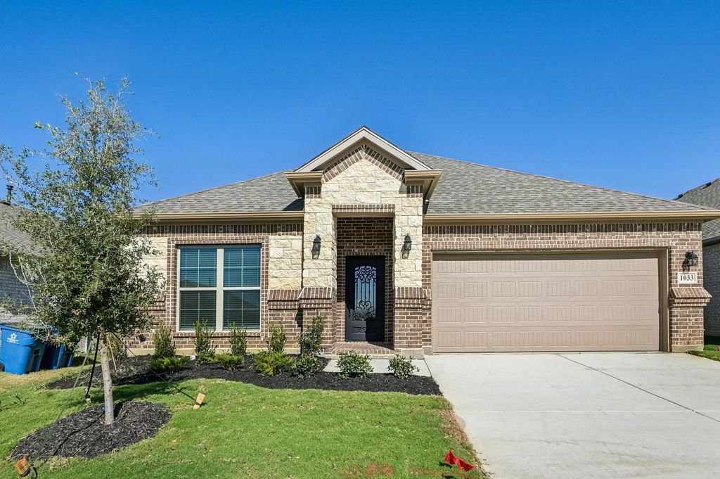 1033 Nighthawk Trail, Alvarado