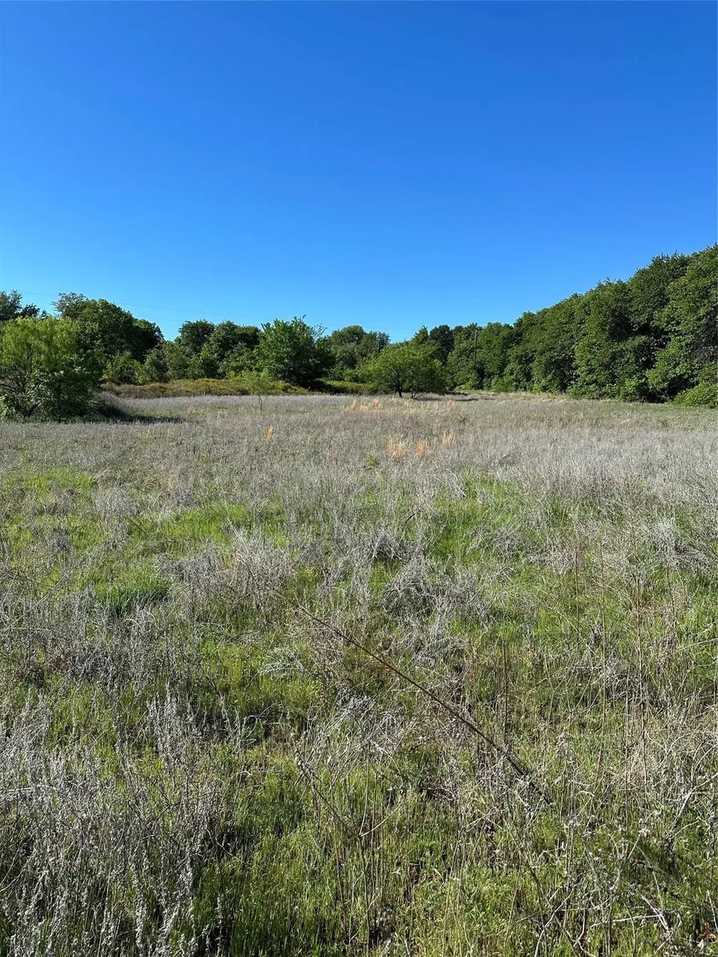 Tbd Hwy 2247, Comanche