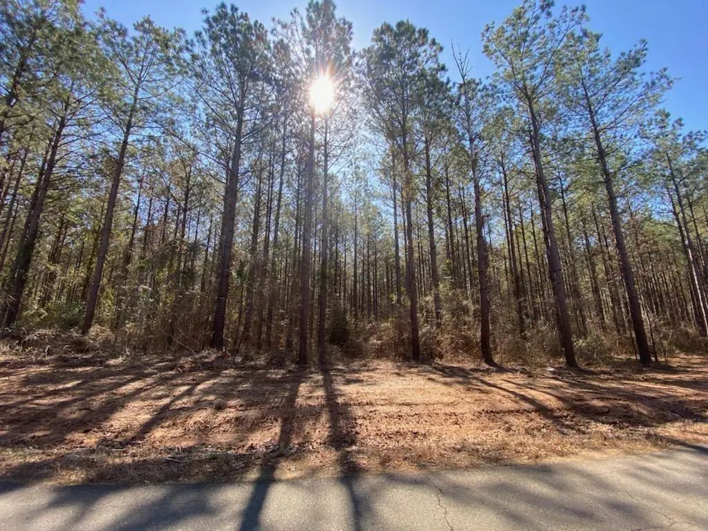 480 Cotton Valley Road, Haughton