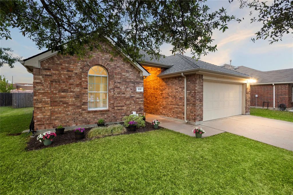 213 Arabian, Waxahachie