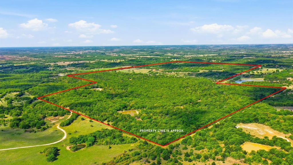 2197 Netherly Lane, Forestburg