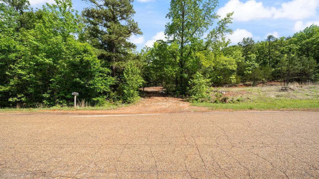 Tbd County Road 4915, Ben Wheeler