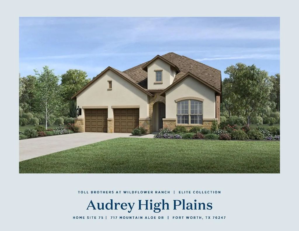 717 Mountain Aloe Drive, Fort Worth
