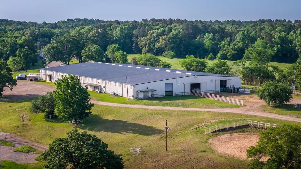 938 County Road 1655, Mount Pleasant