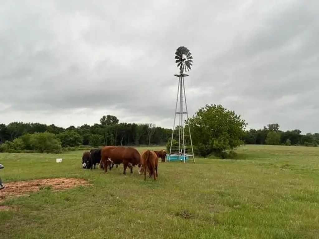 599 Lone Star, Poolville