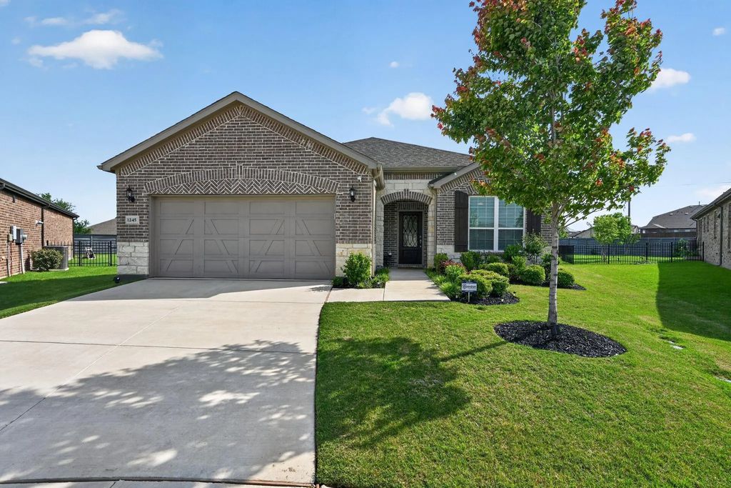 1245 Firework Drive, Little Elm