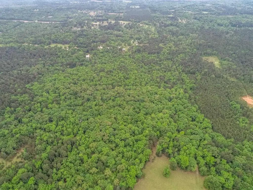 2885 Firetower Road, Hallsville