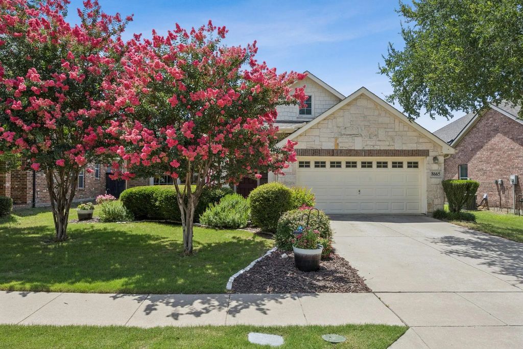 8665 Marion Drive, Frisco