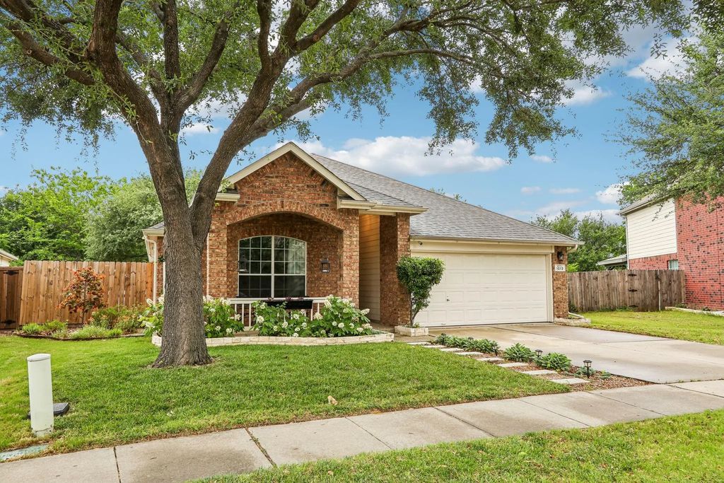 1013 Warbler, Aubrey