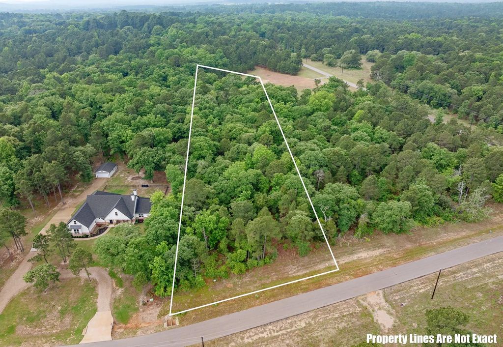 3121 Shadow Pines, Larue