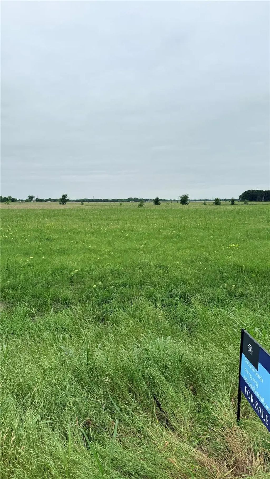 Fm 2613 Fm 2613, Kemp