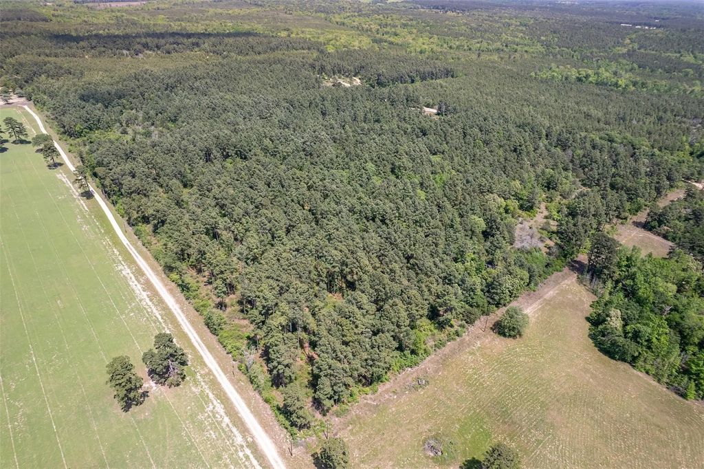 County Road 3588, Winnsboro