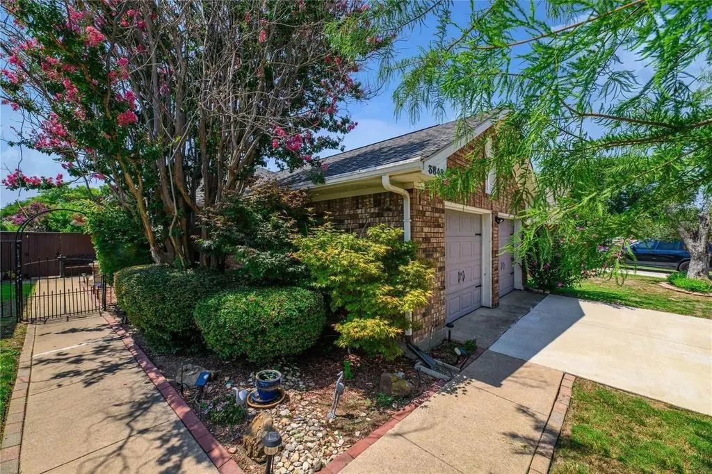 3848 Dalston Lane, Plano