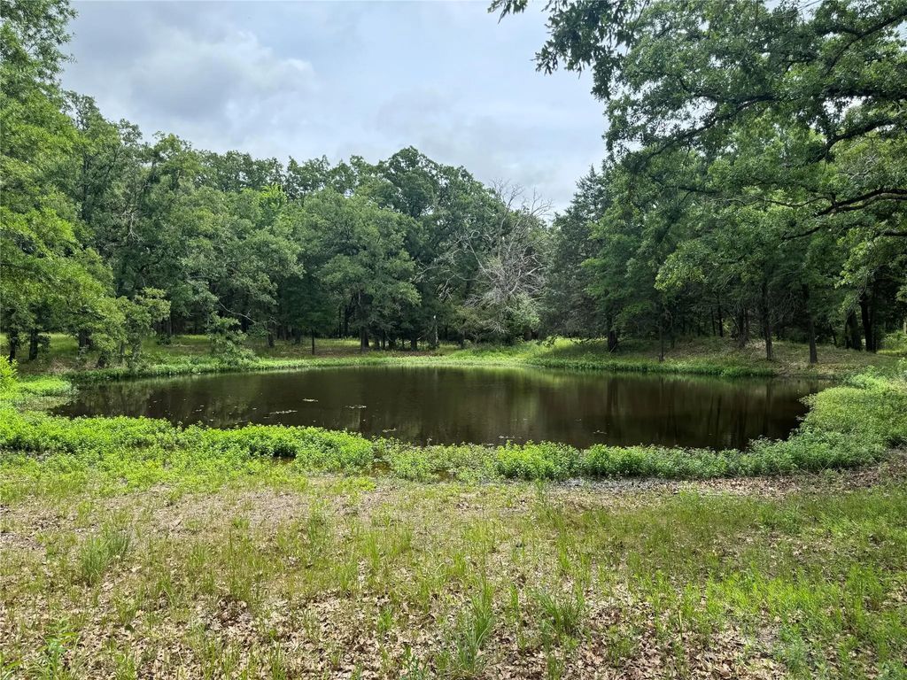 Tbd Co Rd 4022, Kemp