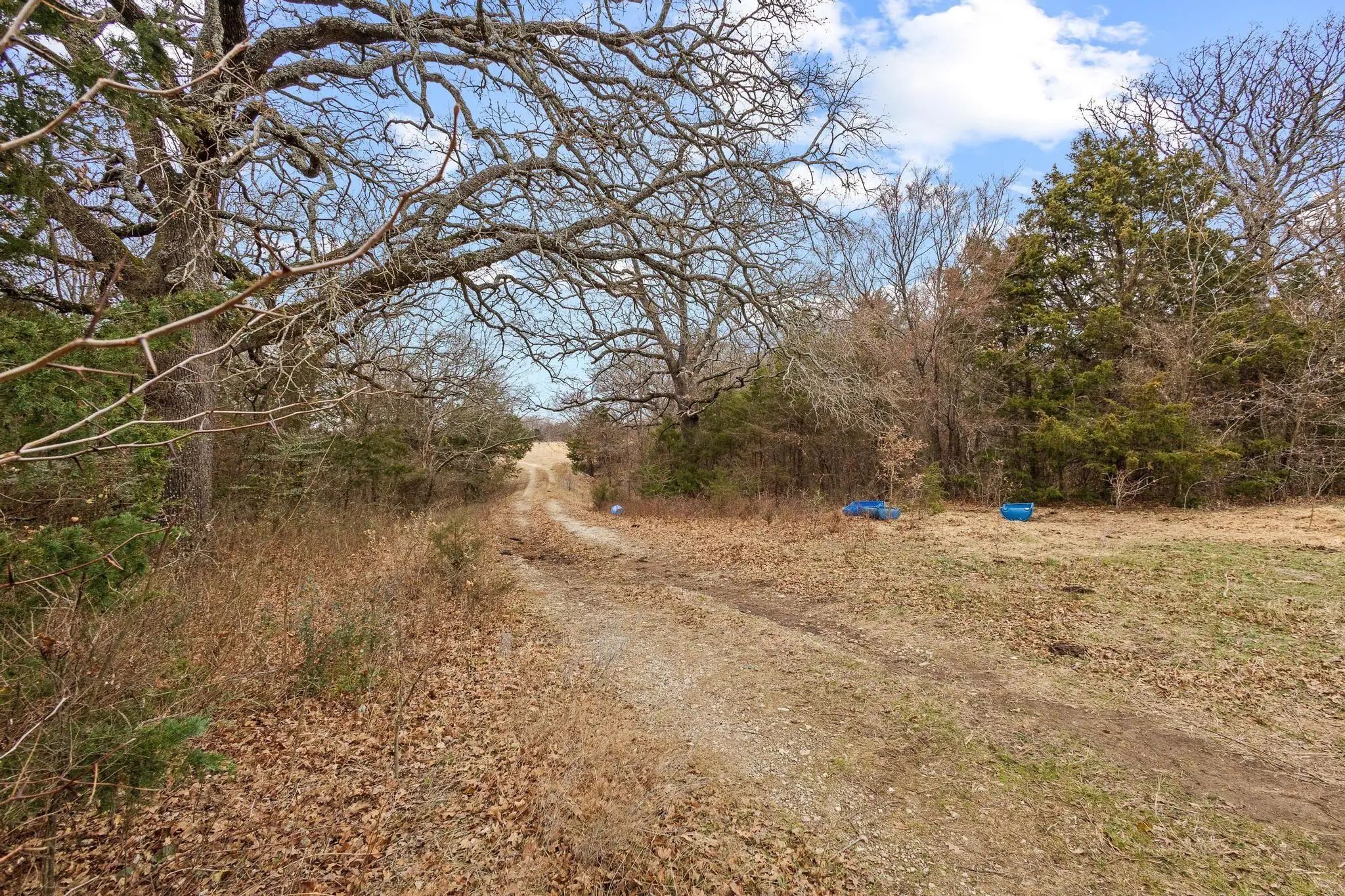 Photo of Listing #21261204