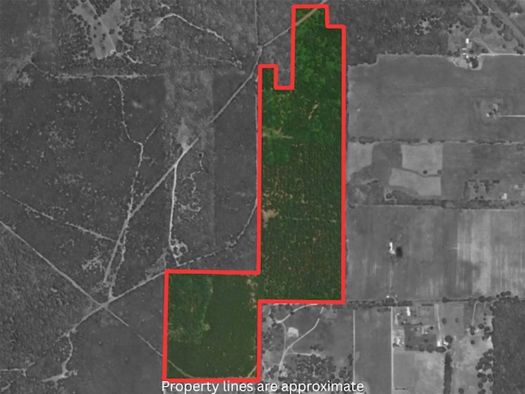 Tba County Road 3824, Hawkins