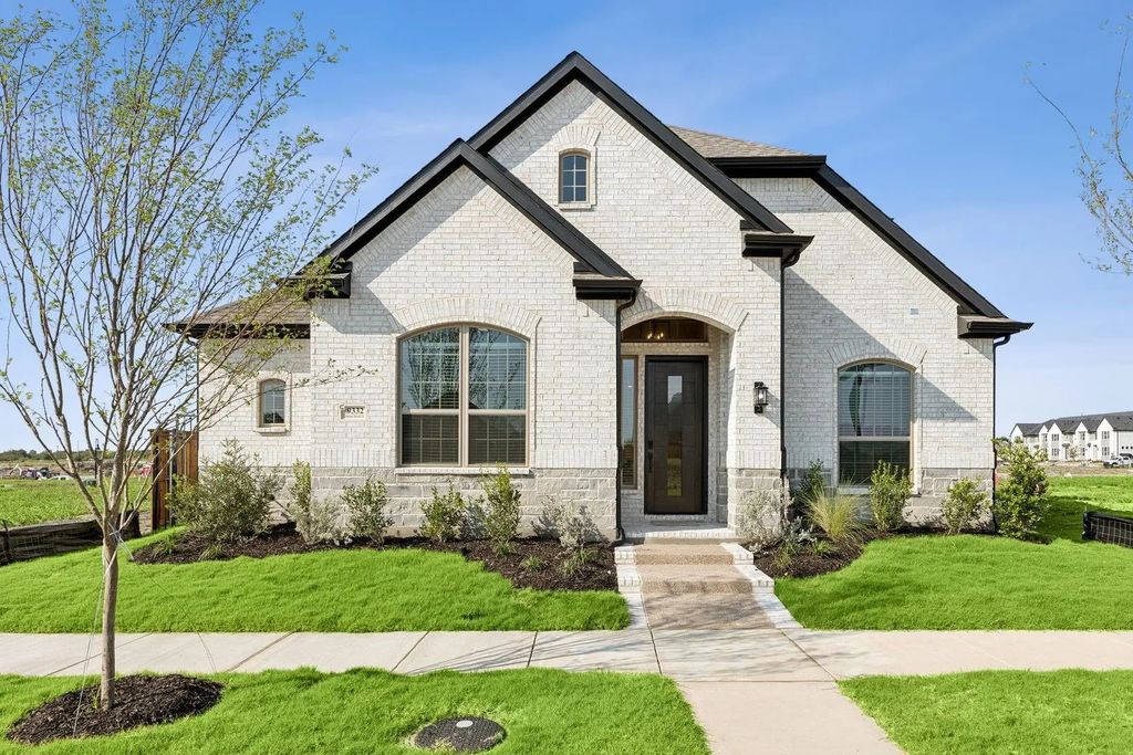 9332 Crimson Sweet Drive, Mesquite
