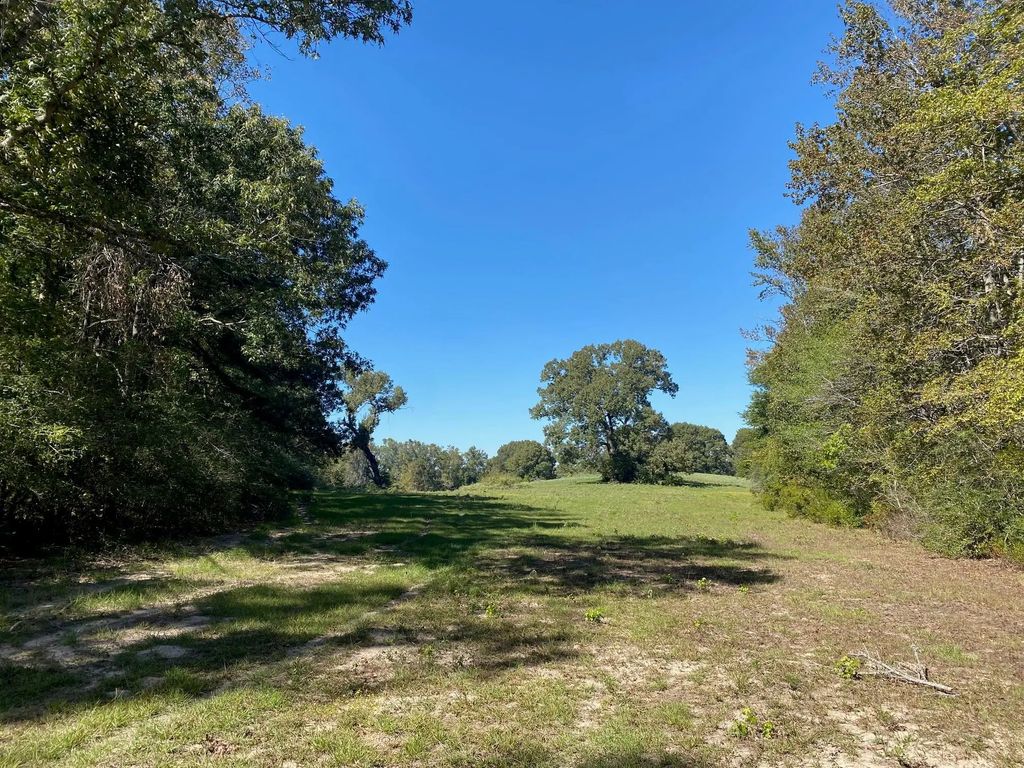 Tbd 006 County Road 242, Oakwood