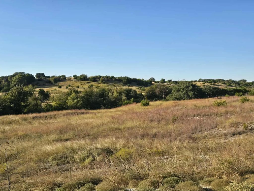 229 Grand Canyon Drive, Oglesby