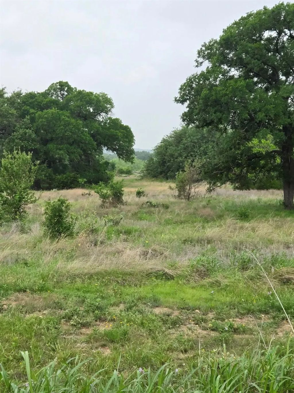 Tbd Yosemite Drive, Oglesby