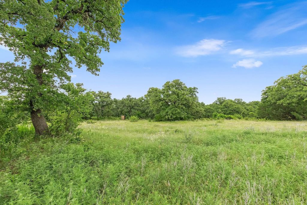 Tbd 82.29 Acres County Road 1790, Sunset