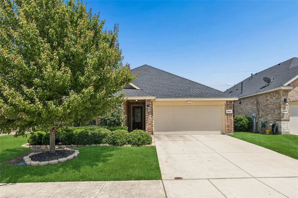 1901 Lake Pine Drive, Little Elm