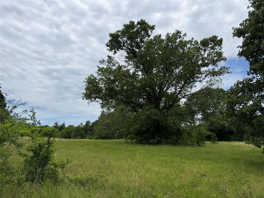 4451 County Road 2295, Telephone