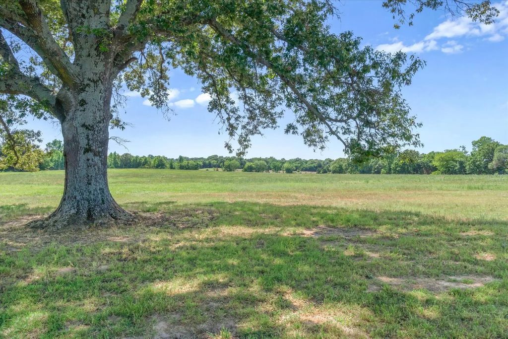 Tbd County Road 4509, Ben Wheeler
