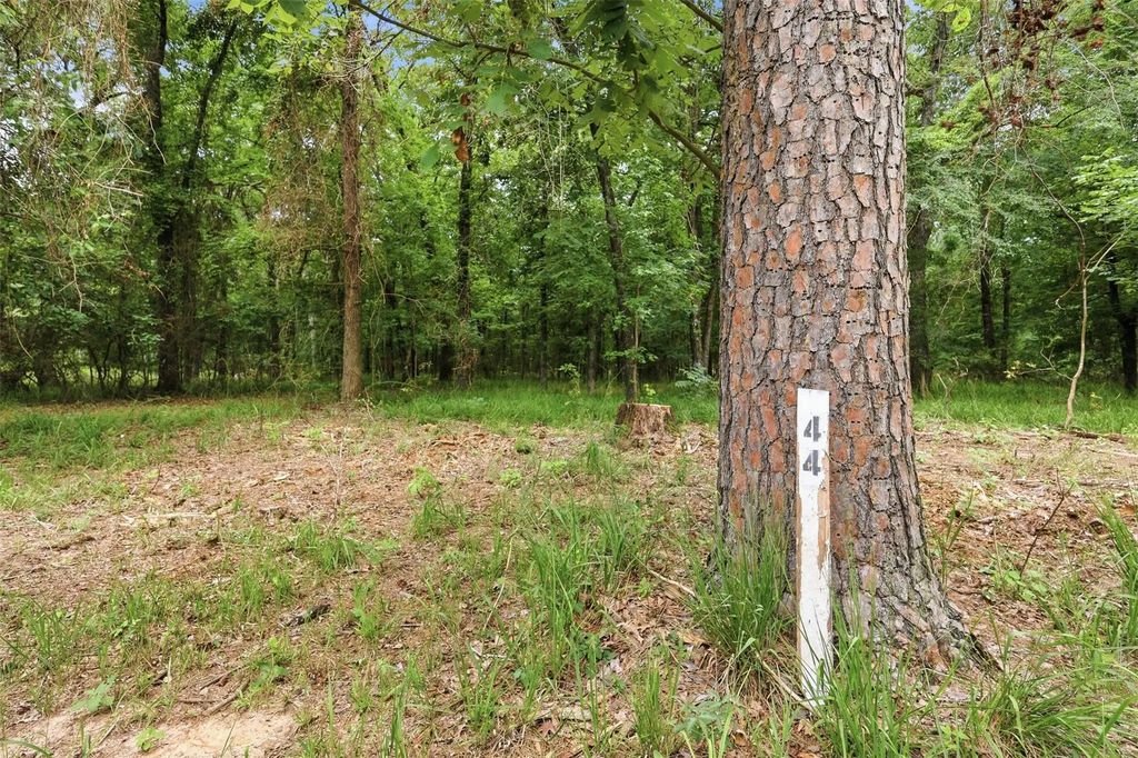Lot 44 Sterling Shores Drive, Scroggins