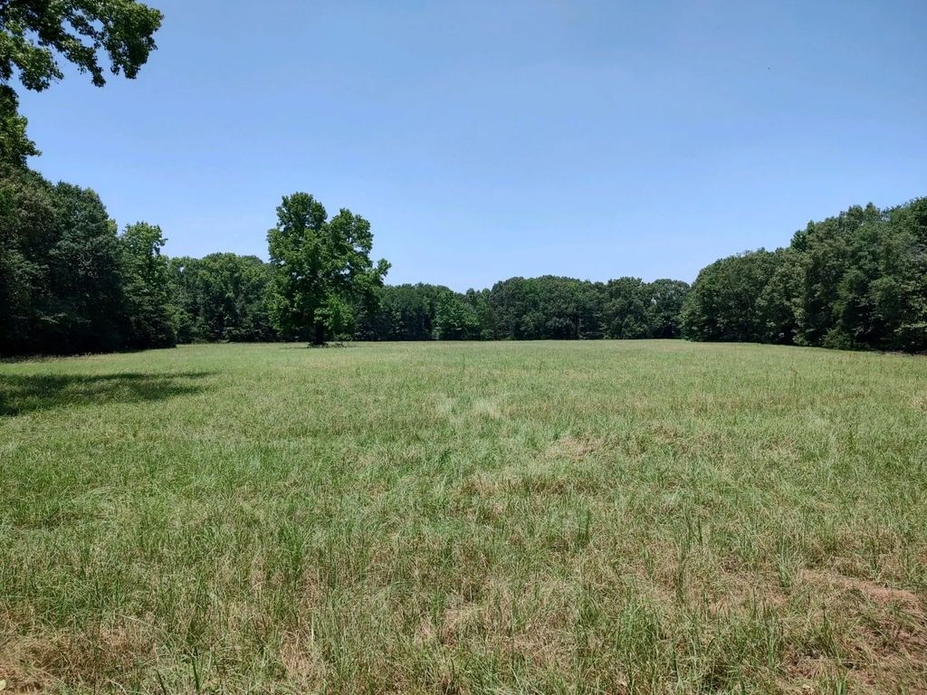 Tbd 55.644 Acres County Road 1807, Yantis