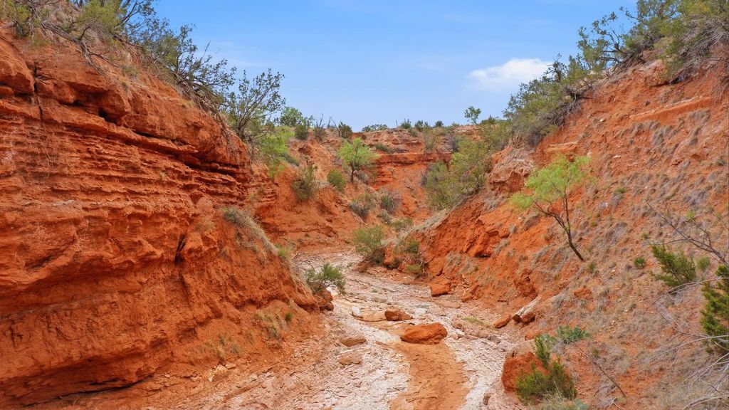 1245 County Road 349, Rotan