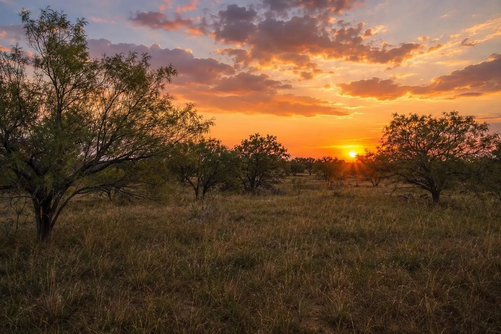 Tbd 13.345 Acres Cr 107, Abilene