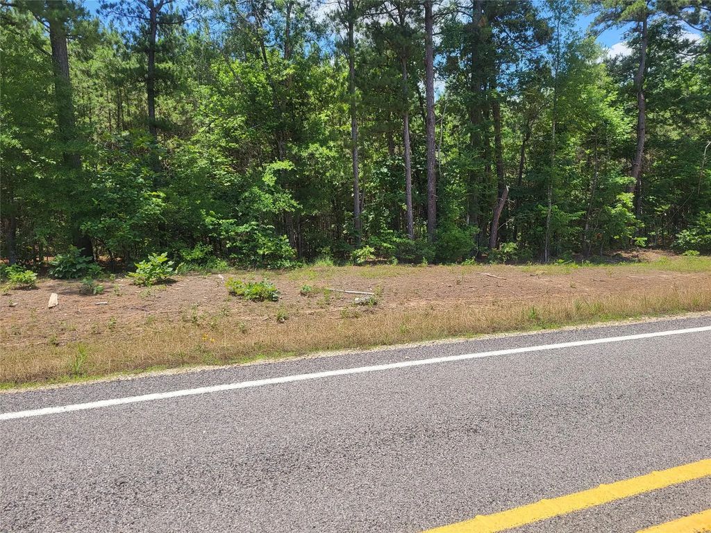 Tbd Fm 2120 Highway, Bagwell