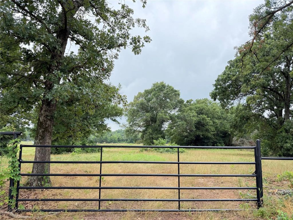 Tbd Fm 1000, Cookville