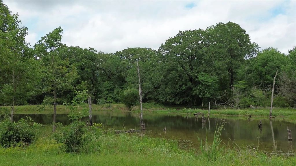 12387 County Road 3120, Kerens
