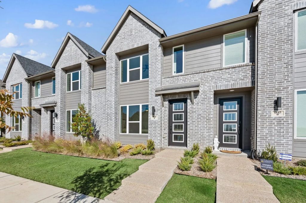 1841 Summer Aura, Mesquite
