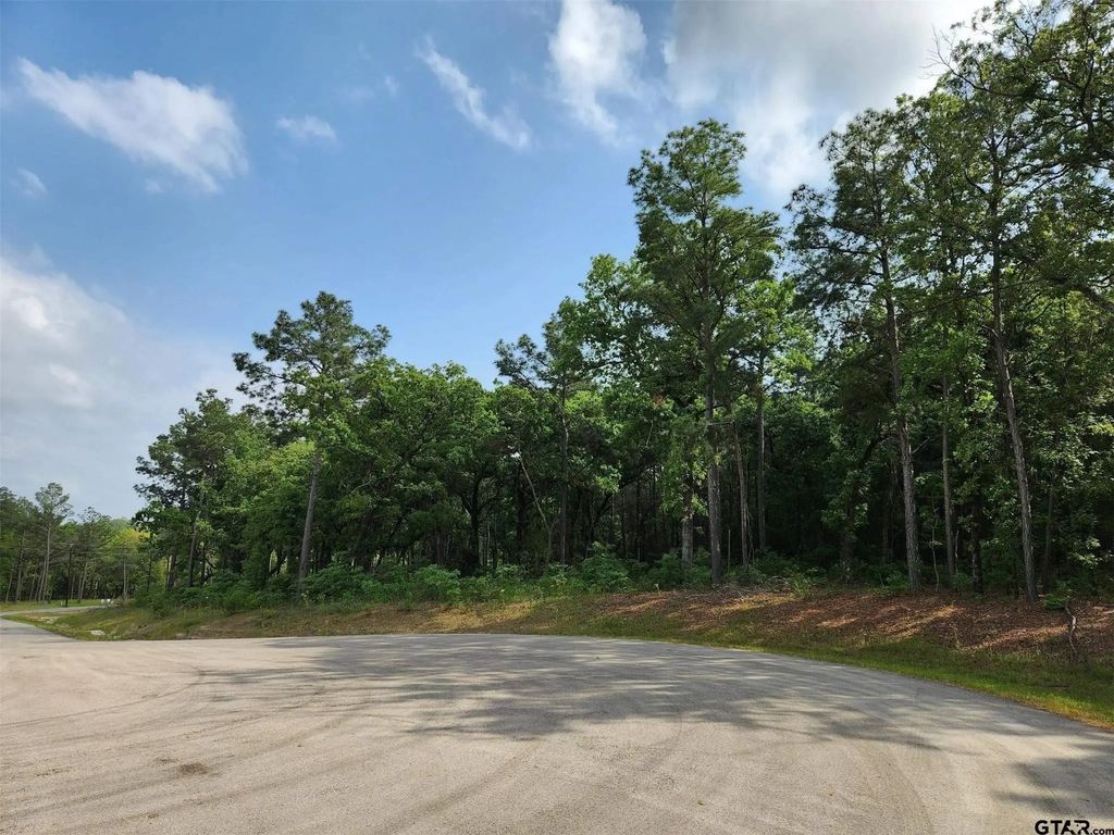 3281 Shadow Pine Drive, Larue
