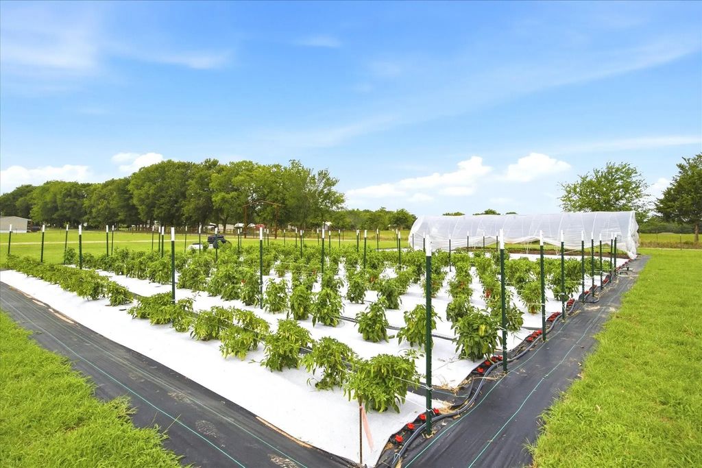4020 Fm 515, Emory