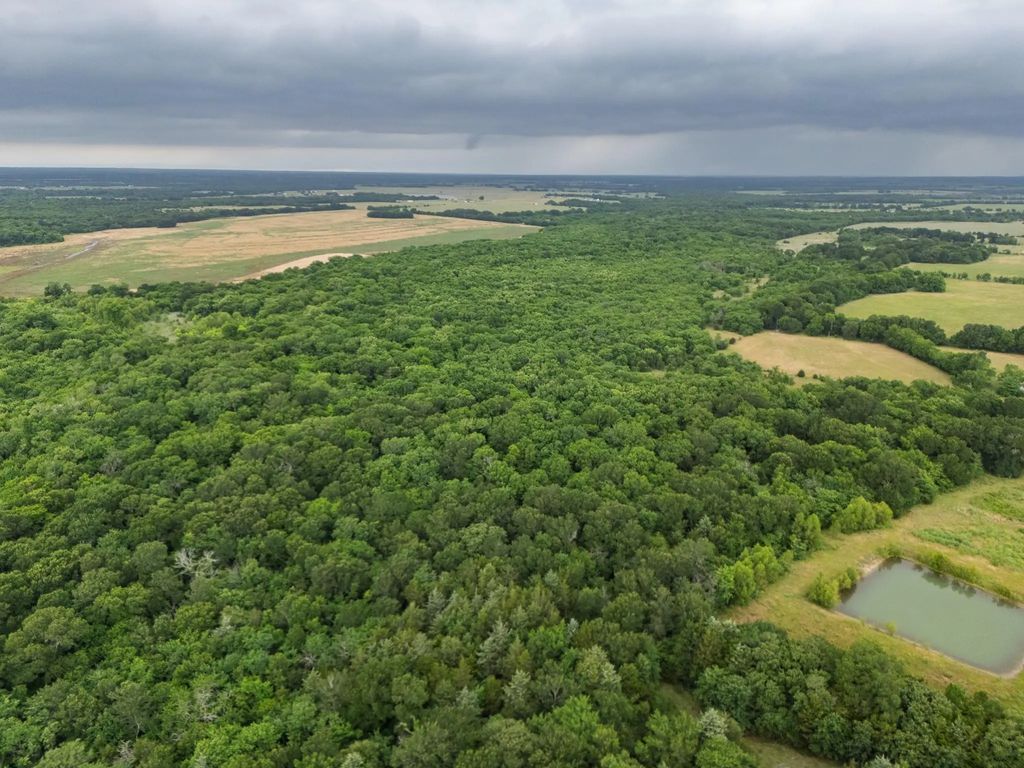 Tract 9 County Road 2158, Cooper