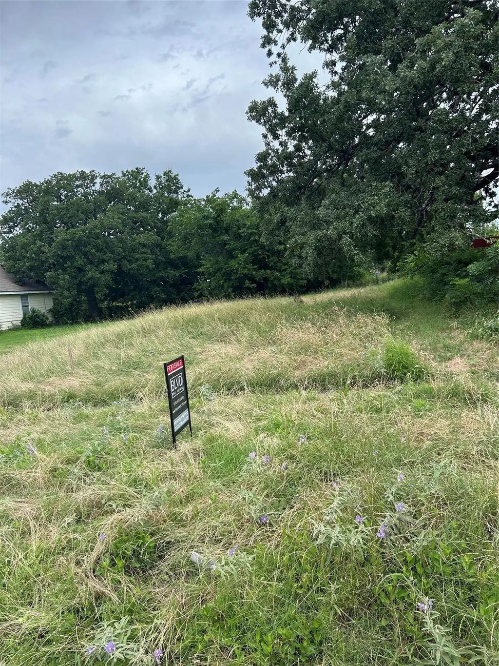 3027 Warren, Dallas