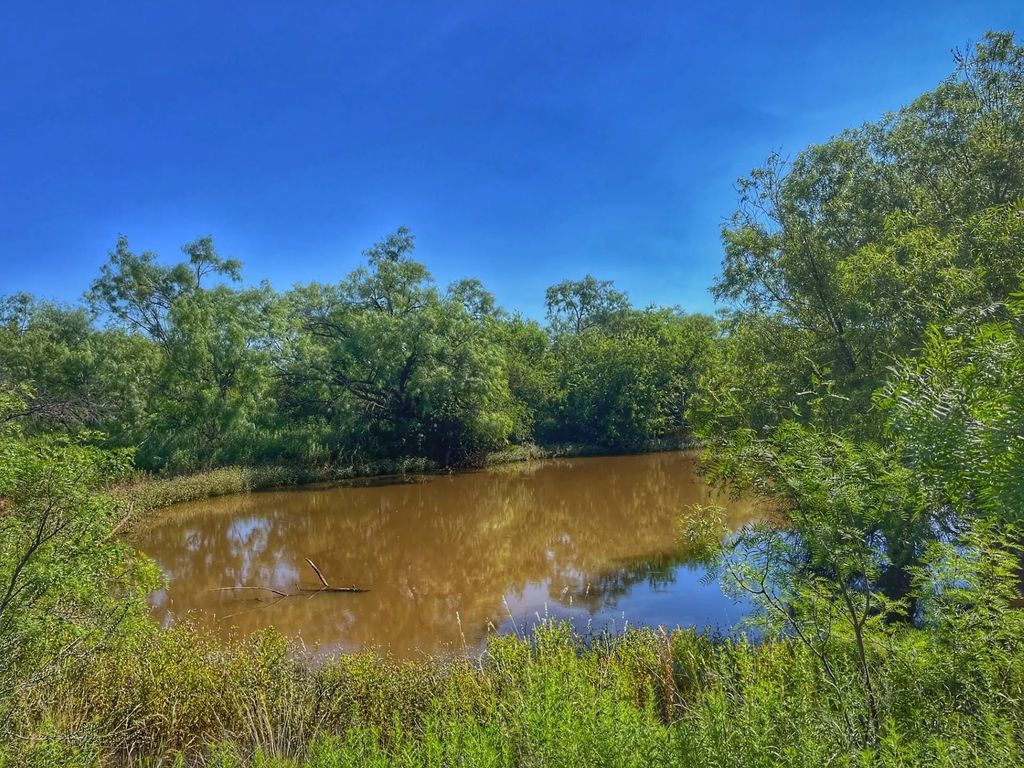 1363 County Road 441, Sweetwater