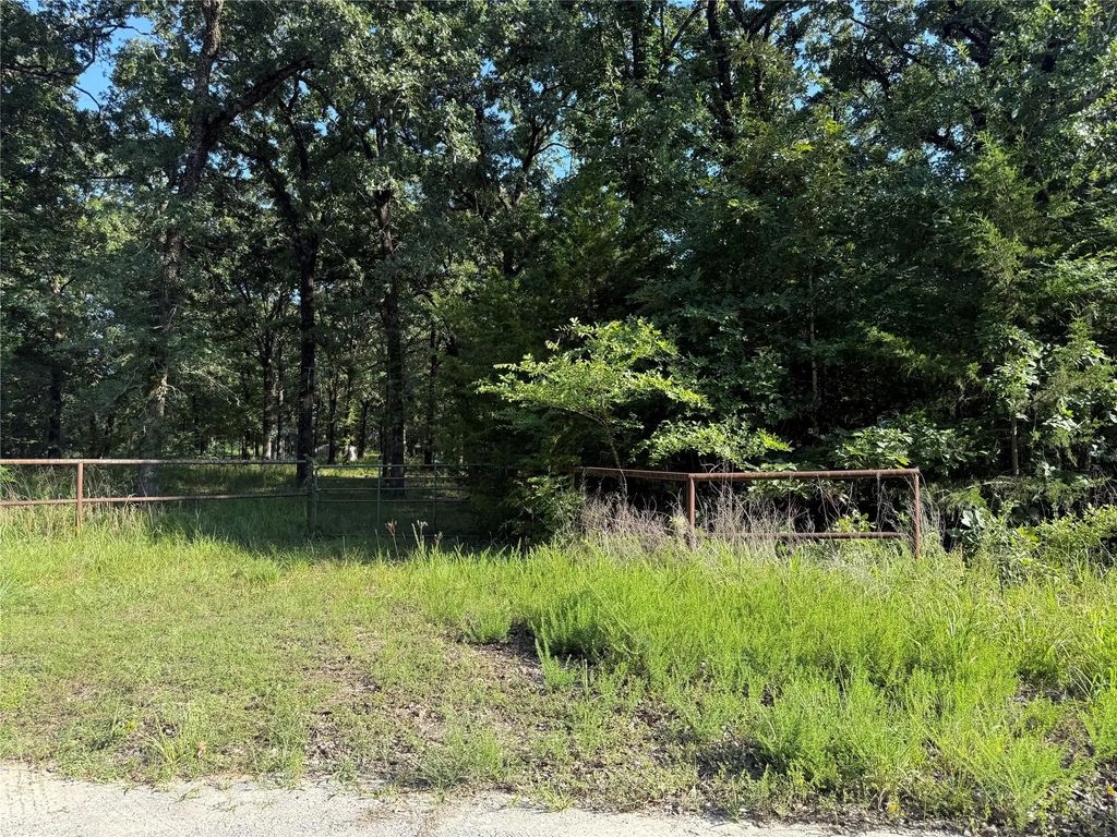 Cr 2418, Honey Grove