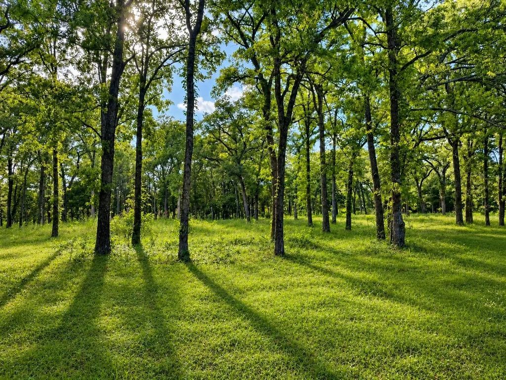 Tbd County Road 1503, Point