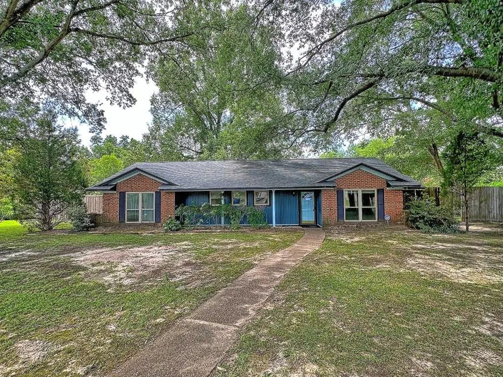 137 Penny Lane, Athens