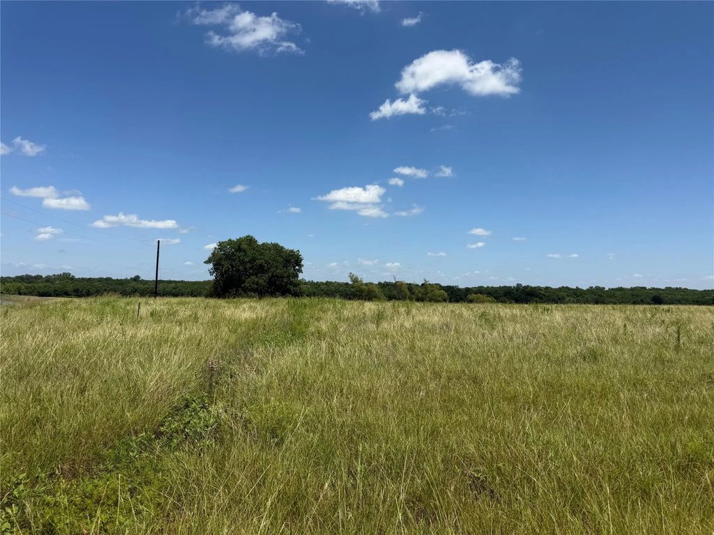 01 Cr 3550, Honey Grove