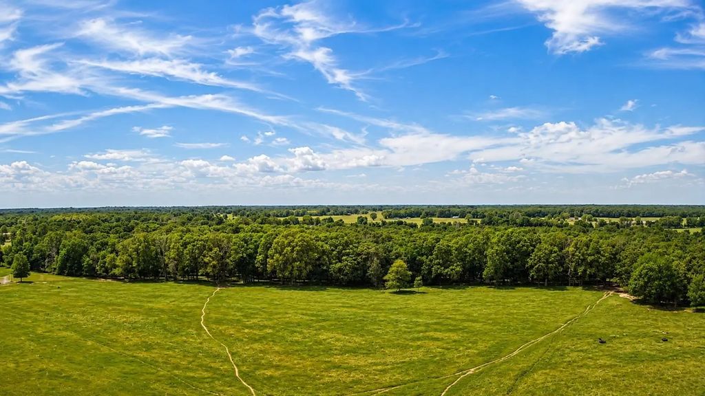 1963 County Road 44750, Blossom