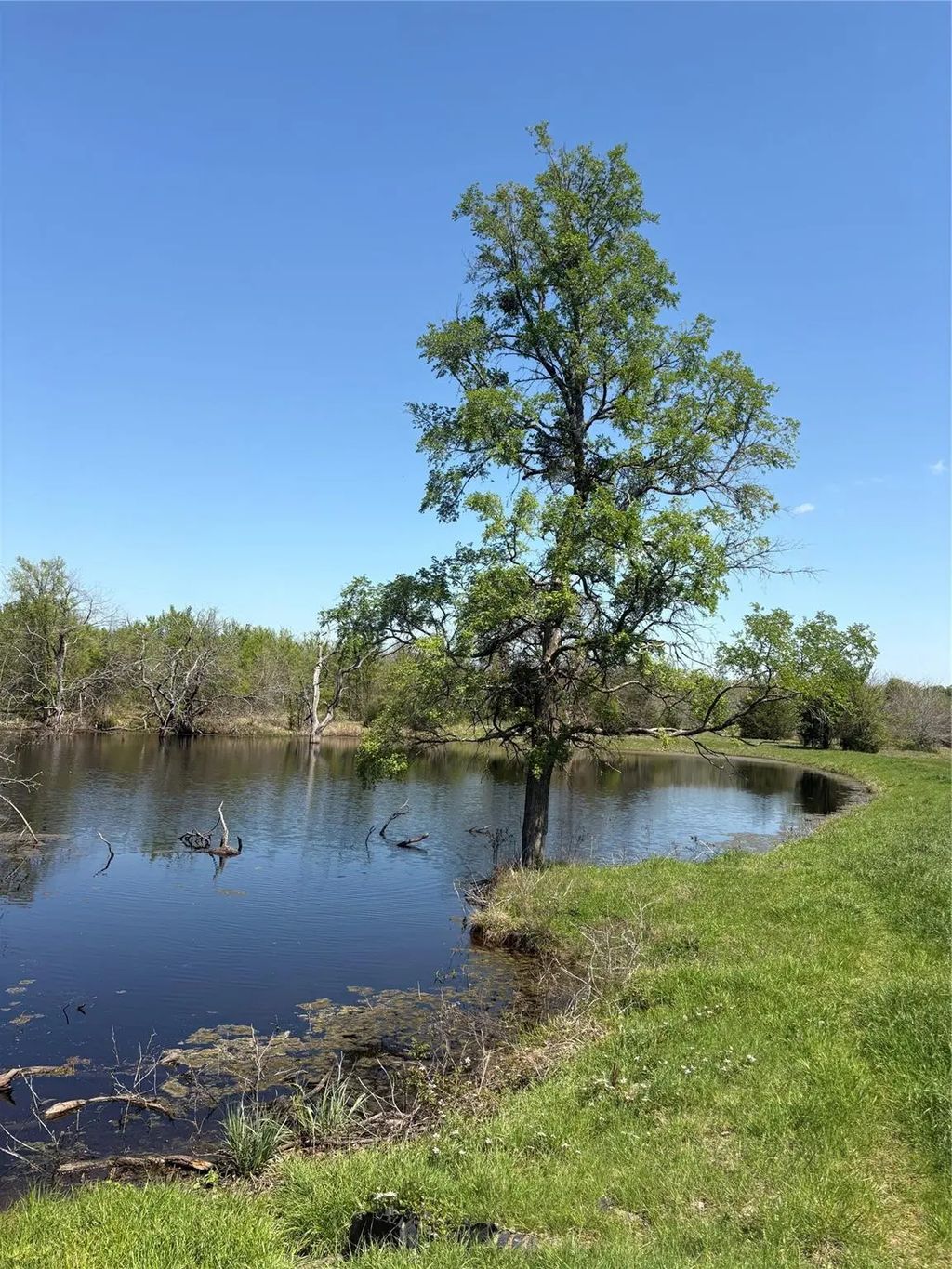 Tbd 70ac Cr 4744, Sulphur Springs