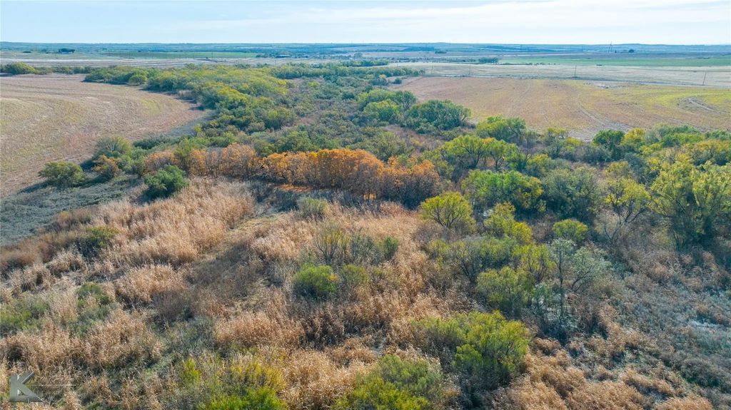 Tbd Fm 57, 160 Acres, Roby