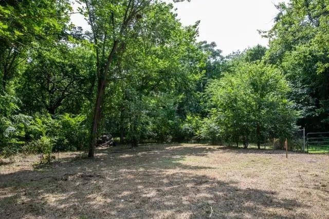 Photo of Listing #21319864