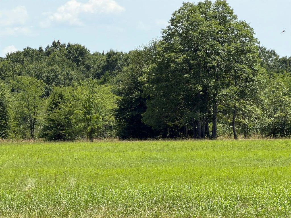 871 Vz County Road 2602, Wills Point